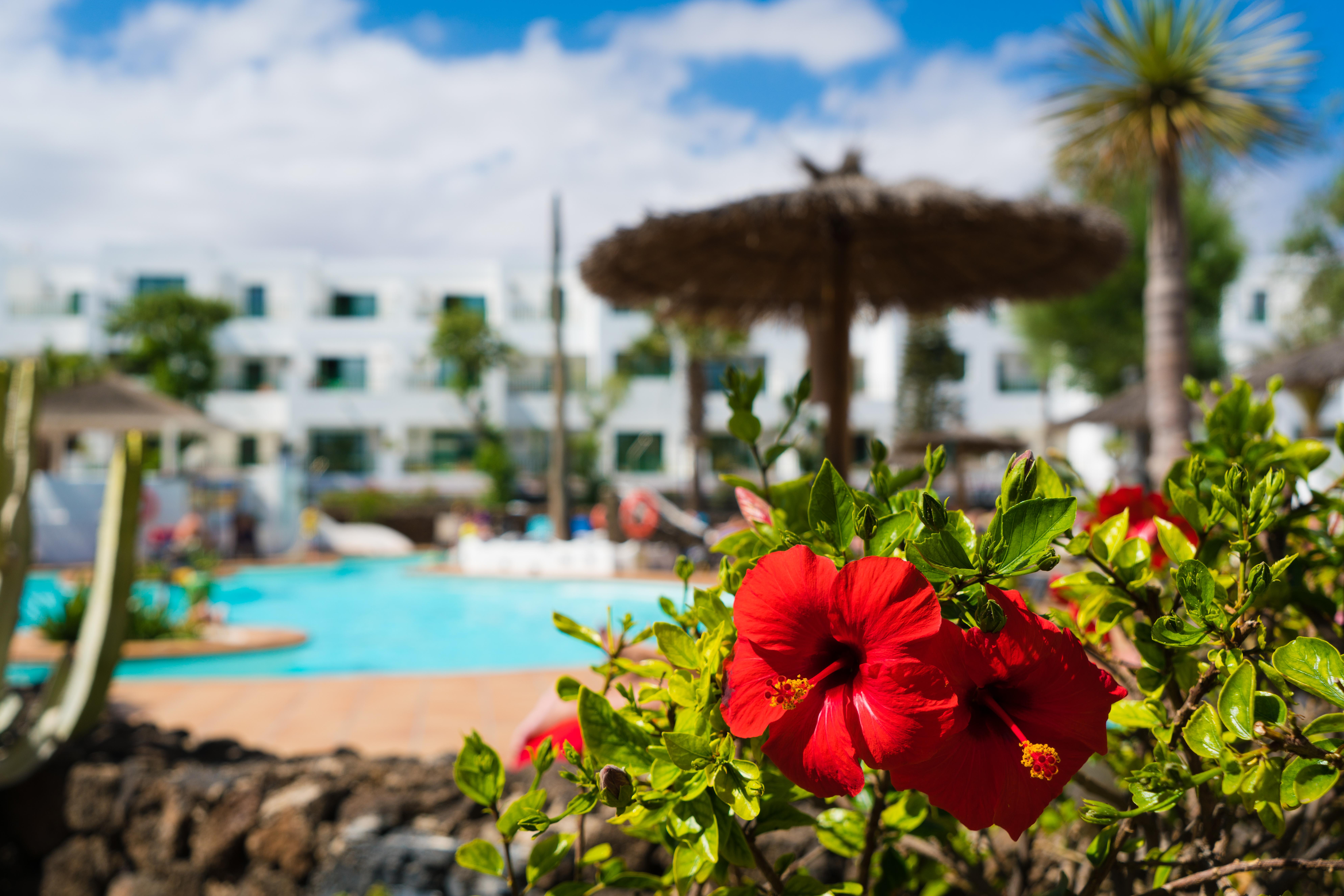 Apartamentos Galeon Playa Costa Teguise Kültér fotó